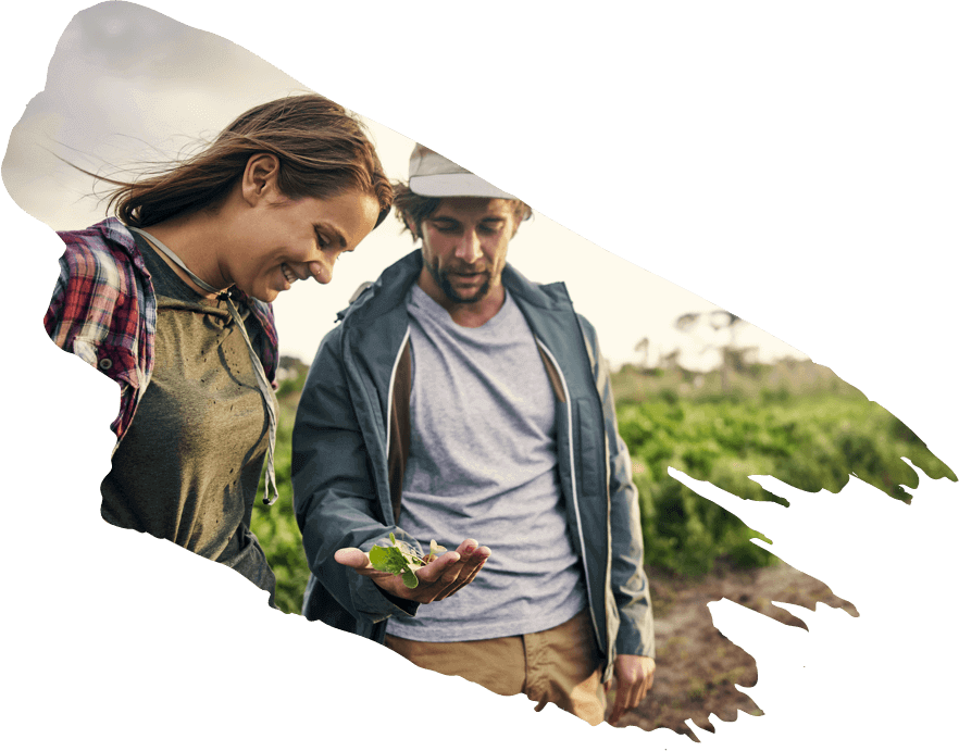 Farmers holding nut plant
